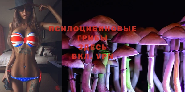 MDMA Белокуриха