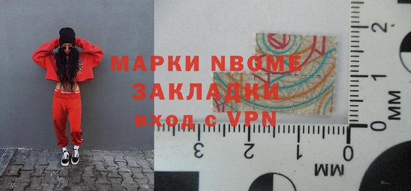 шишки Беломорск
