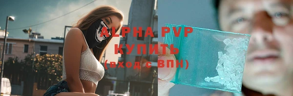 шишки Беломорск