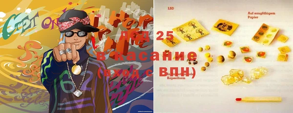 шишки Беломорск